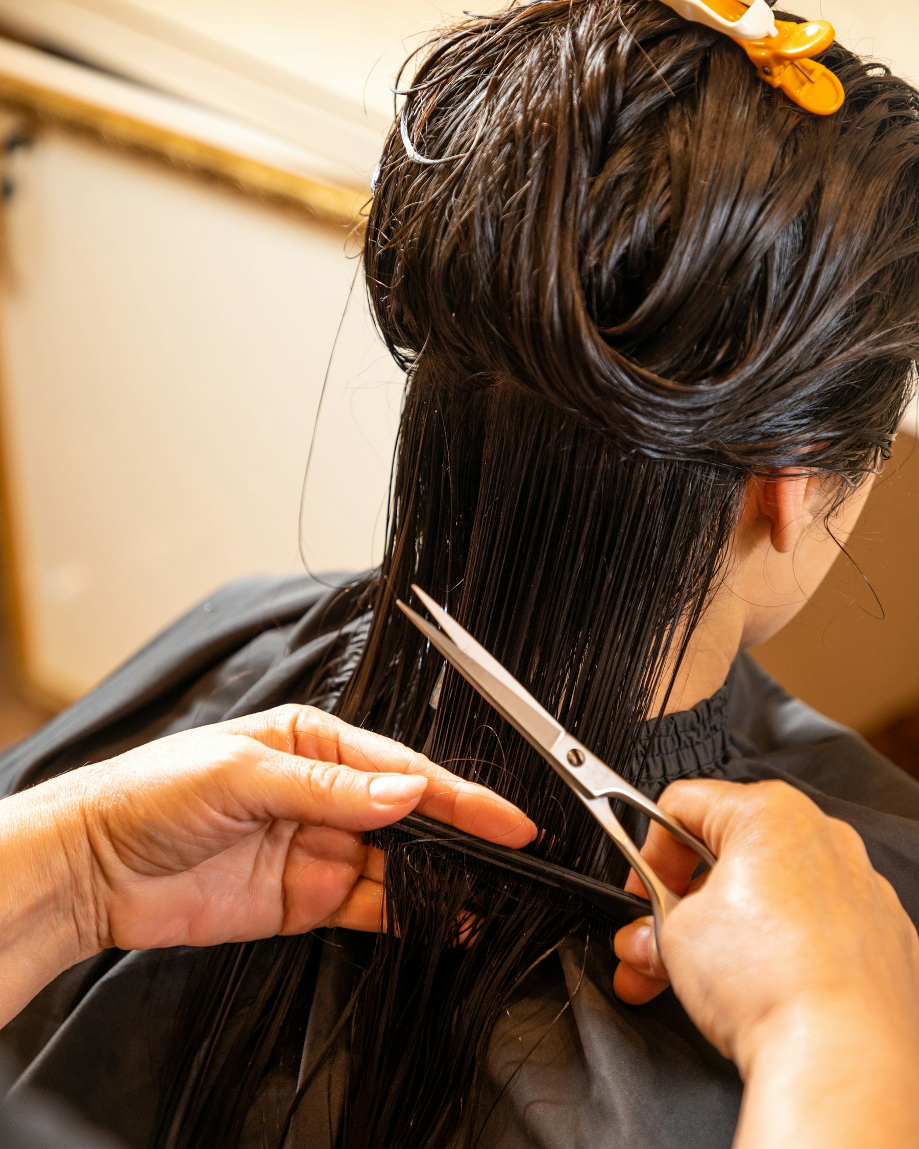 Hair stylist trimming a client's hair